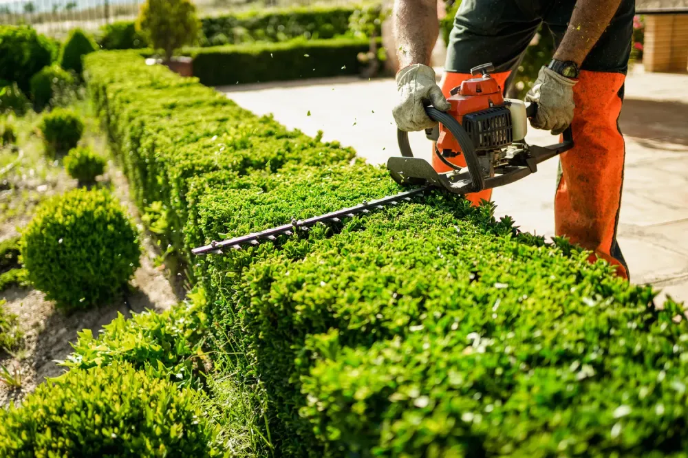 Entretien de jardin à Haussy